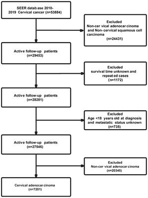 Distant organ metastasis patterns and prognosis of cervical adenocarcinoma: a population-based retrospective study